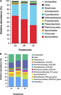 Effect of Whole or Ground Flaxseed Supplementation on Fatty Acid Profile, Fermentation, and Bacterial Composition in Rumen of Dairy Cows